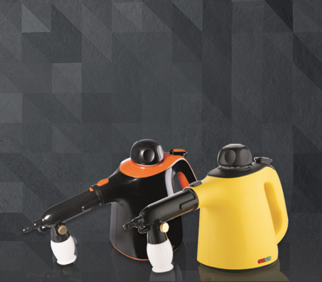 Steam Cleaner